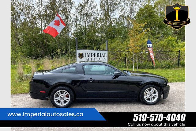 2014 Ford Mustang in Cars & Trucks in Kitchener / Waterloo - Image 4