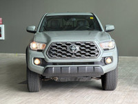 HEATED FRONT SEATS, ADAPTIVE CRUISE CONTROL, BACK-UP CAMERA Yearning for a rugged companion to conqu... (image 2)