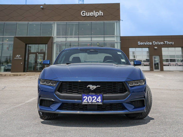 2024 Ford Mustang EcoBoost Premium | One Owner! | Cooled Seats in Cars & Trucks in Guelph - Image 2