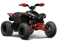2024 Can Am RENEGADE 110 XXC