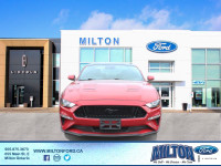 2020 MUSTANG - GT COUPE PREMIUM SERIES - LED HEADLAMPS & TAILIGHTS - LEATHER STEERING WHEEL W/ CONTR... (image 1)