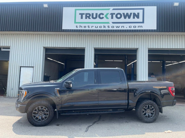 2021 Ford F-150 in Cars & Trucks in Ottawa