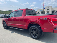This outstanding example of a 2021 Ford F-150 XLT is offered by Vision Ford Inc.. One owner, 5 liter... (image 6)