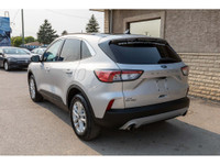 MANITOBA VEHICLE! - Panoramic Sunroof - Remote Start - Apple CarPlay & Android Auto - Backup Camera... (image 4)