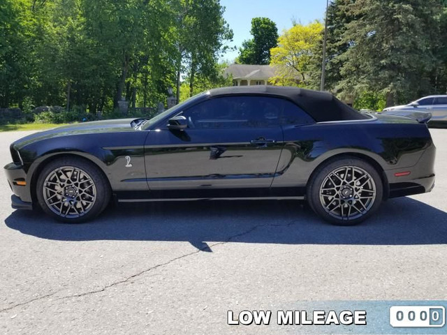 2014 Ford Mustang Shelby GT500 - 5.8L Muscle!!! Crazy Drop Top!! dans Autos et camions  à Région des lacs Kawartha - Image 2
