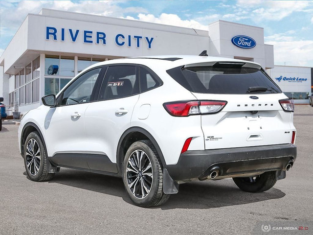 2021 Ford Escape SE W/ REAR VIEW CAMERA in Cars & Trucks in Winnipeg - Image 4