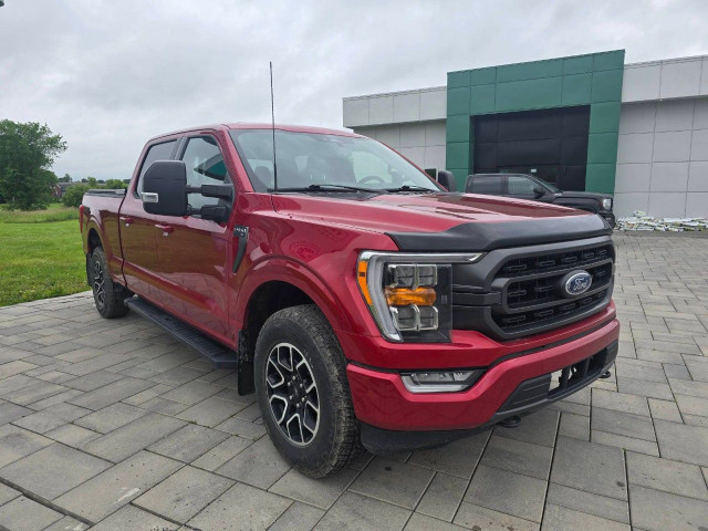 2022 Ford F-150 in Cars & Trucks in Ottawa - Image 3