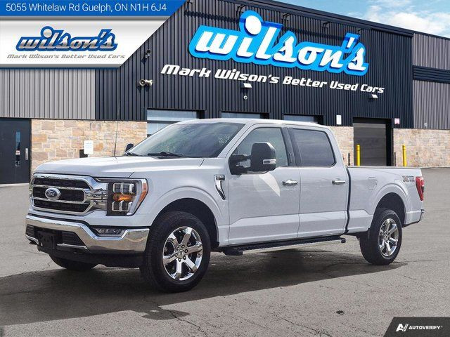 2023 Ford F-150 XLT Crew 4X4 | 6.5' Box | 5.0L | 302A | Max Tow in Cars & Trucks in Guelph