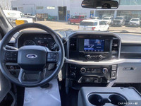 Conquer any terrain with this robust 2023 Ford F-150 XLT 4x4 Crew Cab, boasting a powerful 3.5L V6 E... (image 9)