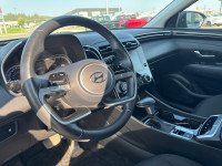 Heated Seats, Apple CarPlay, Android Auto, Heated Steering Wheel, Adaptive Cruise Control! SALES HOT... (image 8)