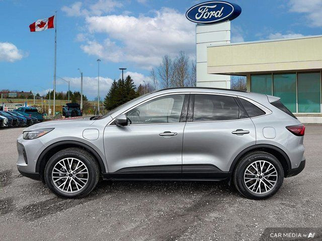 2024 Ford Escape PHEV in Cars & Trucks in Kitchener / Waterloo - Image 4