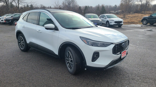2023 Ford Escape PHEV in Cars & Trucks in Belleville - Image 3
