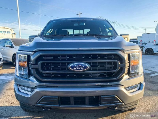 2023 Ford F-150 XLT in Cars & Trucks in Edmonton - Image 2