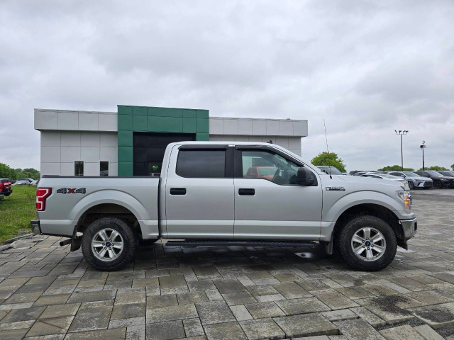 2019 Ford F-150 in Cars & Trucks in Ottawa - Image 4