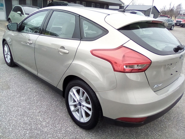 2015 Ford Focus in Cars & Trucks in Leamington - Image 2