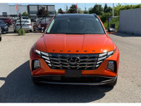 2024 Hyundai Tucson Hybrid Luxury One Owner | Leather | Carplay | Blind Spots APPLE CAR PLAY, ANDROI... (image 2)