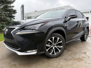 2015 Lexus NX 200t Other