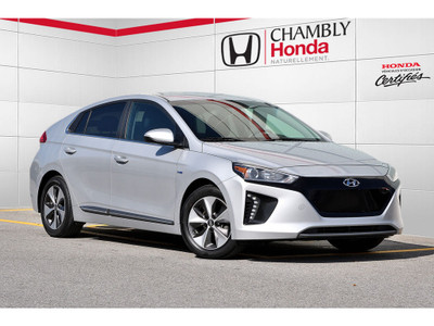  2019 Hyundai Ioniq Electric Preferred+navigation