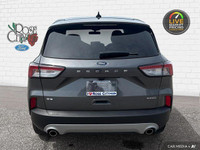 - ACCIDENT FREE - HEATED CLOTH SEATS - LANE KEEPING SYSTEM - BLIS w/ CROSS-TRAFFIC - PRE-COLLISION A... (image 4)