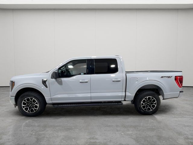 2023 Ford F-150 XLT - CLEAN CARFAX - ONE OWNER in Cars & Trucks in Strathcona County - Image 4