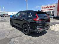 Come visit our Sterling Honda team, you can find us at 1495 Upper James Street, Hamilton, ON L9B 1K2... (image 6)