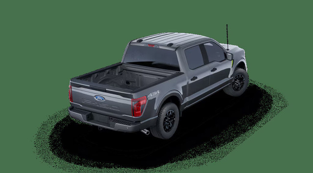 2025 Ford F-150 STX | REAR VIEW CAMERA | SYNC4 | BLIS in Cars & Trucks in Calgary - Image 2