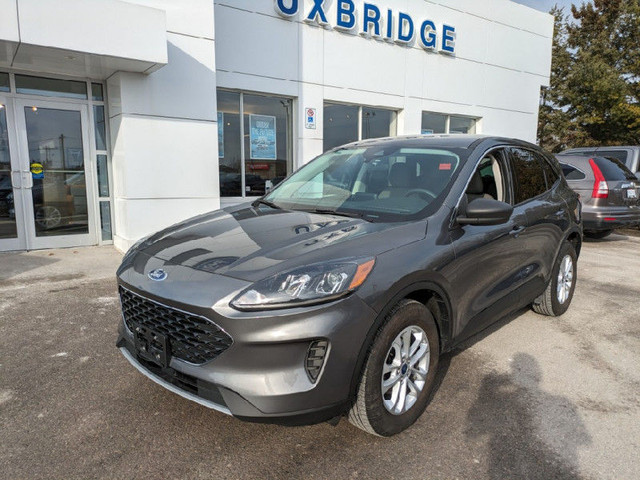 2022 Ford Escape SE AWD - Lane Keeping/Heated Seats!! in Cars & Trucks in Kawartha Lakes