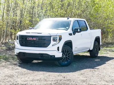 The 2025 GMC Sierra 1500 Elevation is a powerful and feature-rich pickup truck that combines style,...