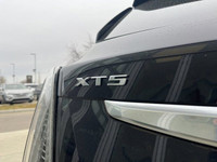 The 2025 Cadillac XT5 Sport is a dynamic, mid-size luxury SUV that combines bold design with athleti... (image 6)
