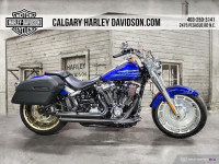 2019 Harley-Davidson FLFBS - Fat Boy 114