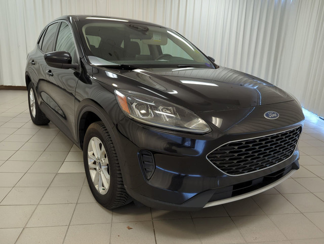 2020 Ford Escape SE AWD in Cars & Trucks in Dartmouth - Image 2