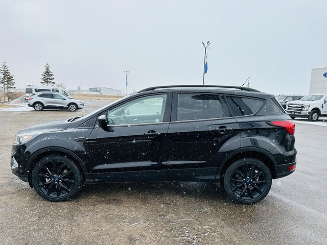 2019 Ford Escape SE 4X4 in Cars & Trucks in Edmonton - Image 4