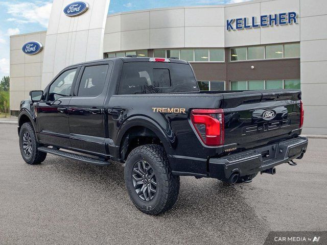 2025 Ford F-150 Tremor in Cars & Trucks in Brandon - Image 3