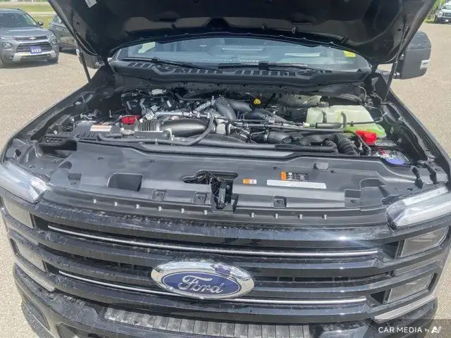 2025 Ford Super Duty F-250 SRW Platinum dans Autos et camions dans Brandon - Image 21