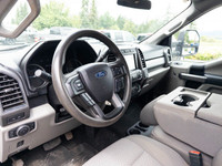 This 2020 Ford Super Duty F-350 SRW Crew Cab XLT is ready for work or play. Boasting a powerful 6.7L... (image 6)