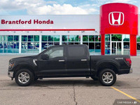 Dominate any terrain with this powerful 2024 Ford F-150 XLT Crew Cab. This black beauty boasts a rob... (image 1)