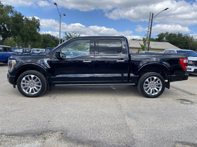 2021 Ford F-150 Limited | Power Tailgate | Twin Sunroof in Cars & Trucks in Edmonton - Image 3