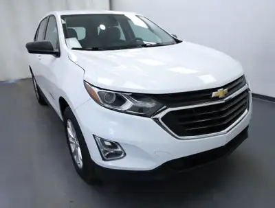 2019 Chevrolet Equinox LS ONE OWNER | LOW KMS | REMOTE START