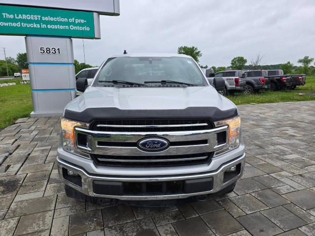 2019 Ford F-150 in Cars & Trucks in Ottawa - Image 2