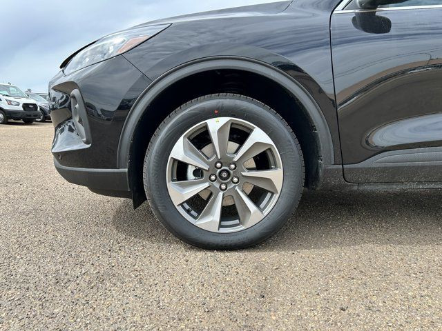 2025 Ford Escape Platinum in Cars & Trucks in Edmonton - Image 3