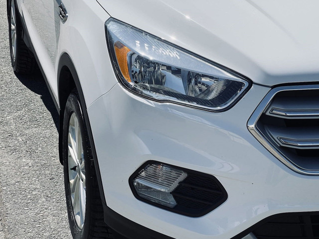 2019 Ford Escape SE in Cars & Trucks in Annapolis Valley - Image 3