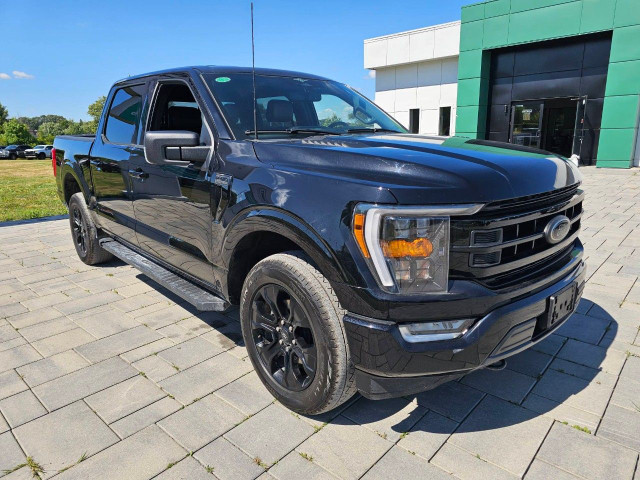 2023 Ford F-150 in Cars & Trucks in Ottawa - Image 3