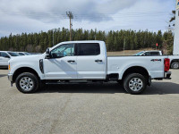 2023 Ford F-350 XLT 4WD Crew Cab Standard 6.75' Box, 7.3L V8, Remote Start, Backup Camera, Keyless E... (image 7)