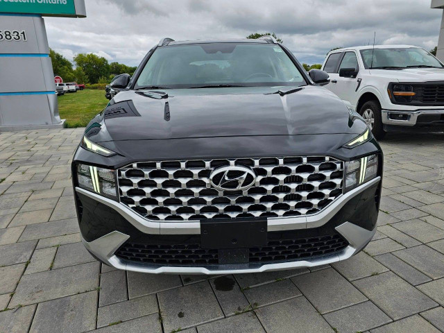 2023 Hyundai Santa Fe Hybrid in Cars & Trucks in Ottawa - Image 3