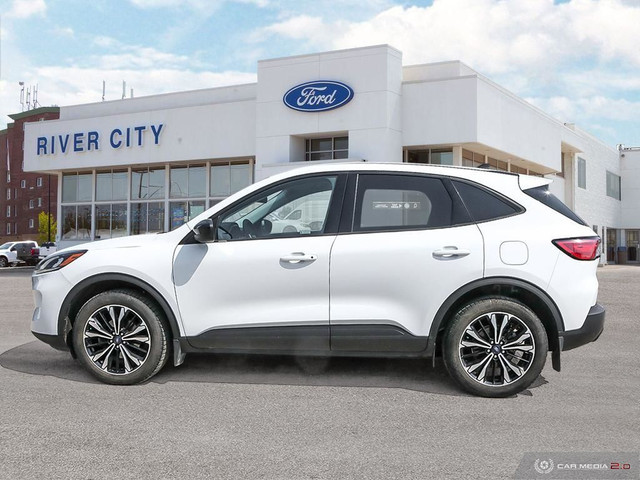 2021 Ford Escape SE W/ REAR VIEW CAMERA in Cars & Trucks in Winnipeg - Image 3