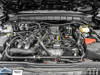 **WE WILL BEAT ANY FORD DEALER IN THE CITY** With its unquestioned toughness and durability, the 202... (image 6)
