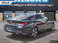 Come see this certified 2023 Hyundai Elantra Luxury | Leather | Sunroof | Nav | Heated Steering + Se... (image 4)