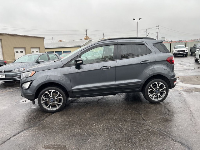  2019 Ford EcoSport SES LEATHER/NAV/SUNROOF CALL NAPANEE 613-354 in Cars & Trucks in Belleville - Image 3