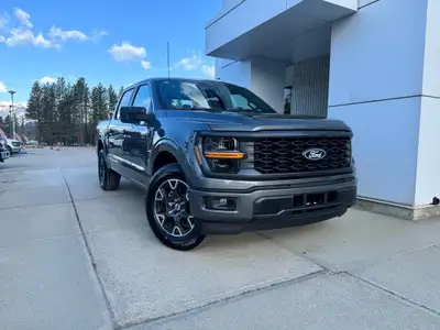 STX 2WD SuperCrew 5.5' Box Engine: 5.0L V8