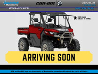 2024 Can-Am Defender Limited Cab HD10 Stone Gray